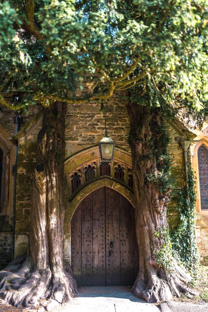 yew tree door stow in the wold