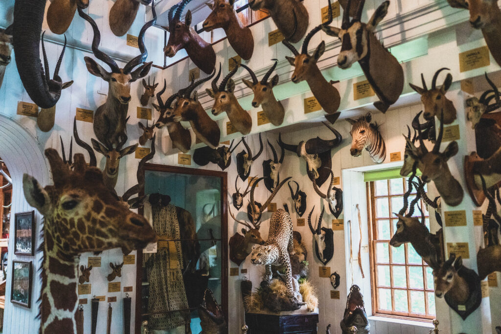 dunrobin castle museum