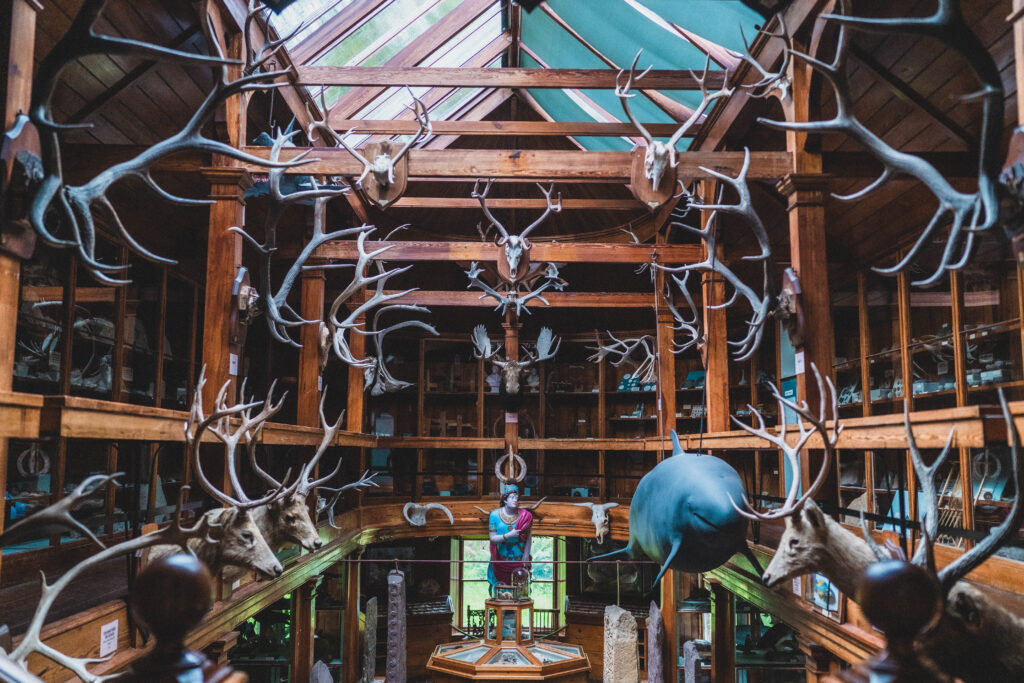 dunrobin castle museum