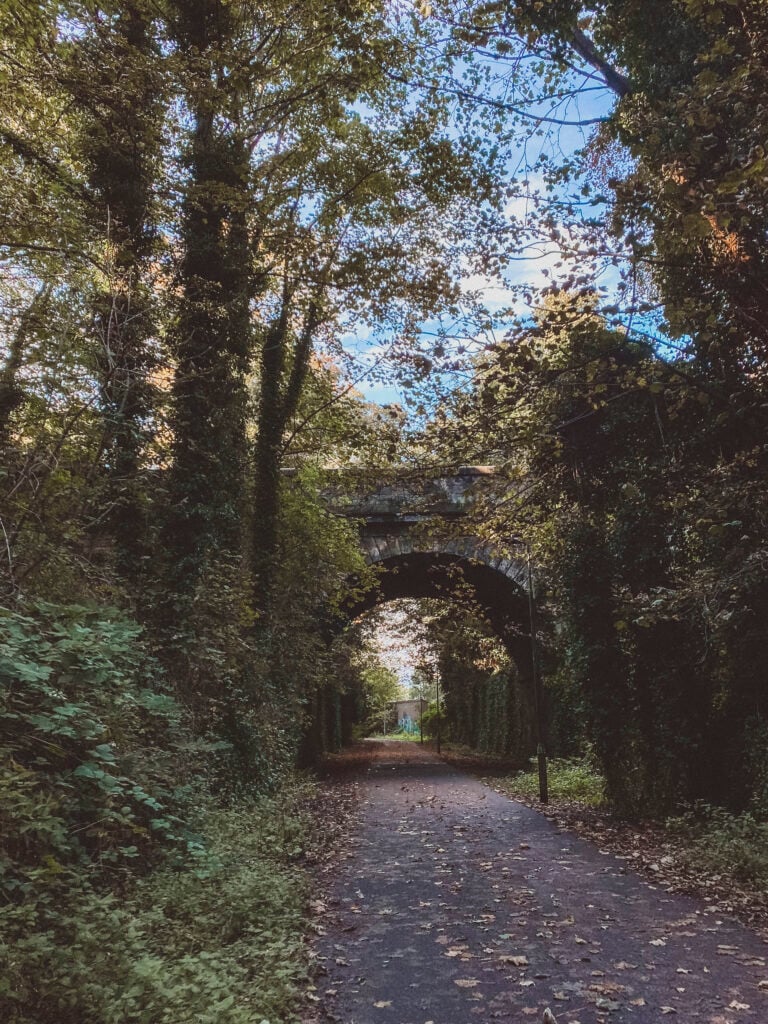 a pathway in Edinburgh autumn