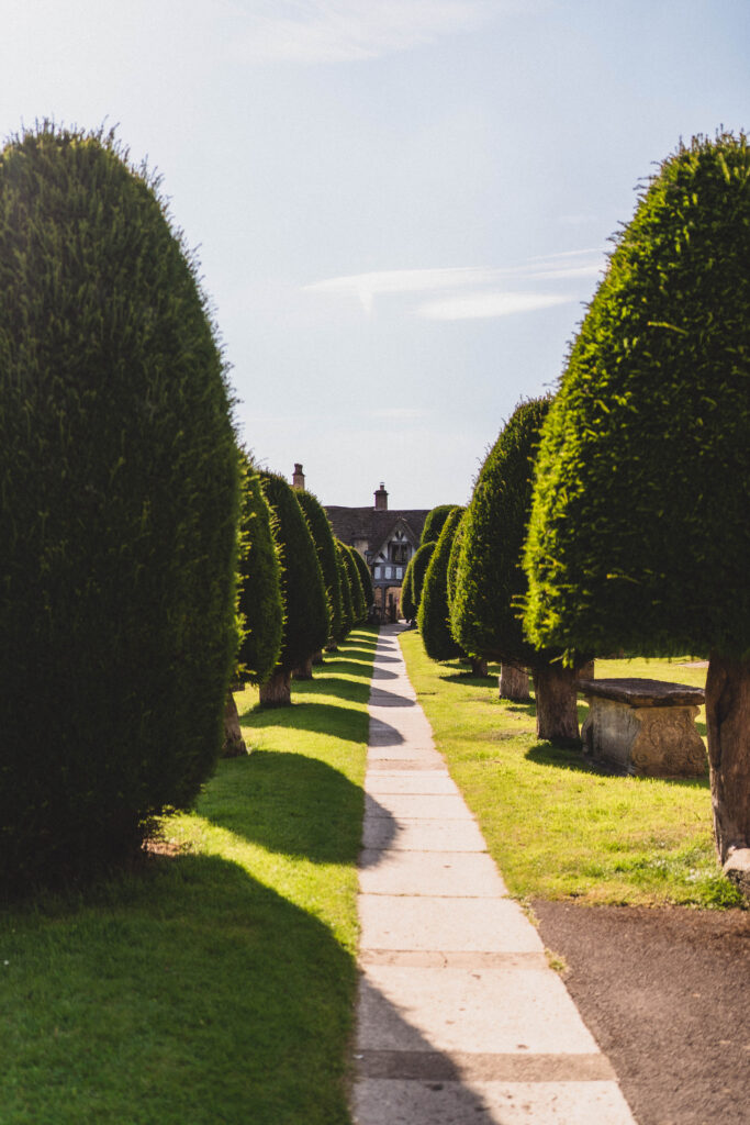 yew trees in painswick
