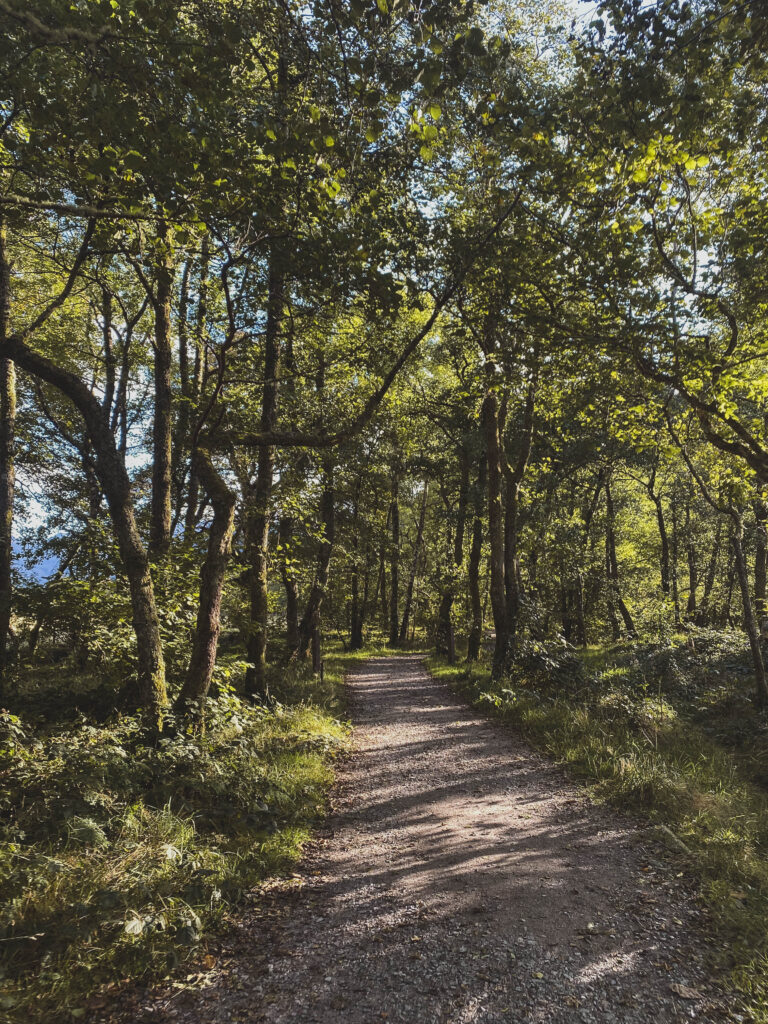 woodland pathway Glen Nevis Scotland