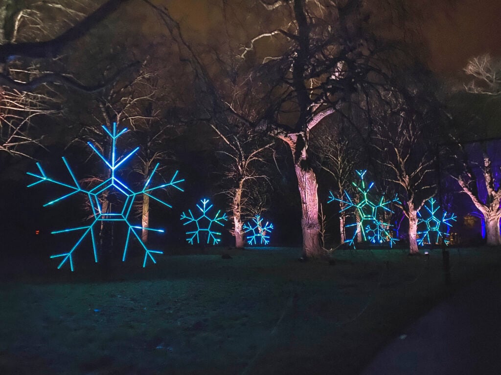 Edinburgh's botanic gardens light show, Christmas