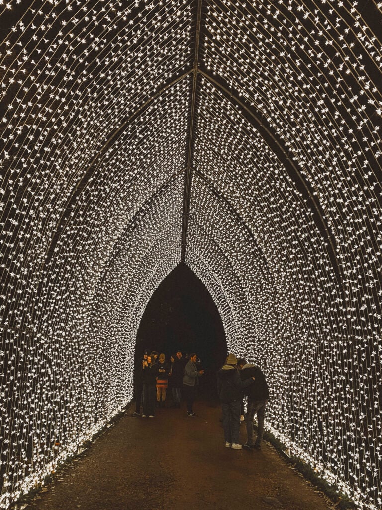 Edinburgh's botanic gardens light show, Christmas