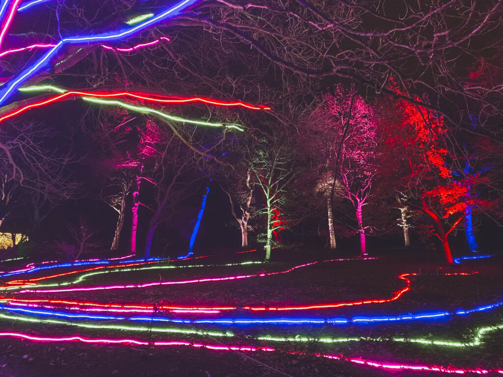 Edinburgh's botanic gardens light show, Christmas