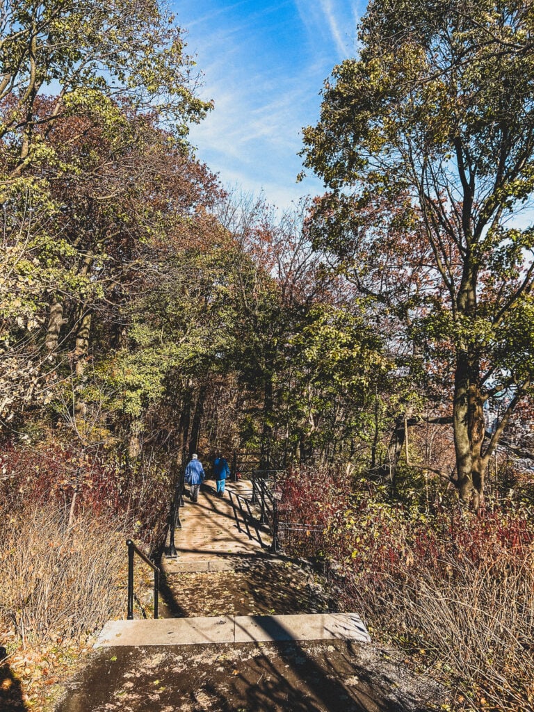 fall foliage in montreal