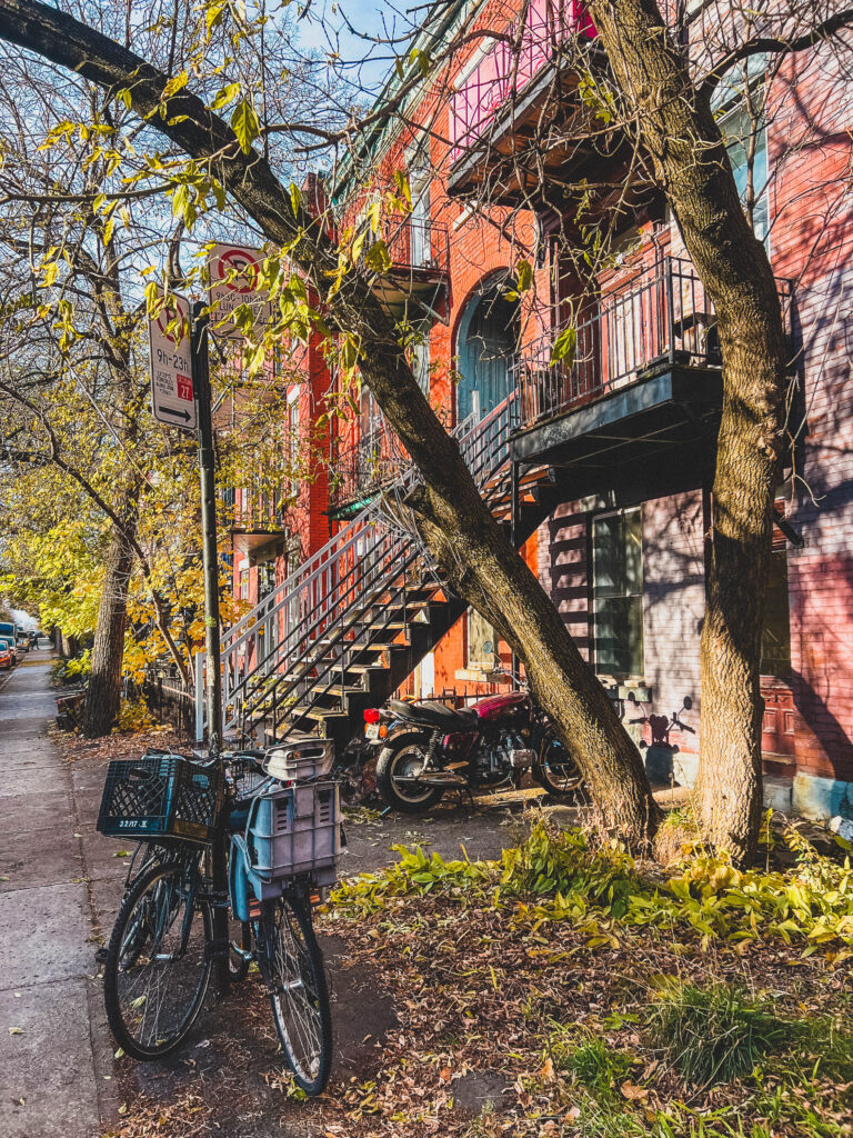 fall foliage in montreal