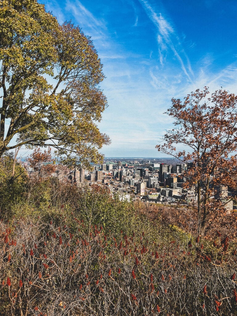 montreal fall foliage mont royal