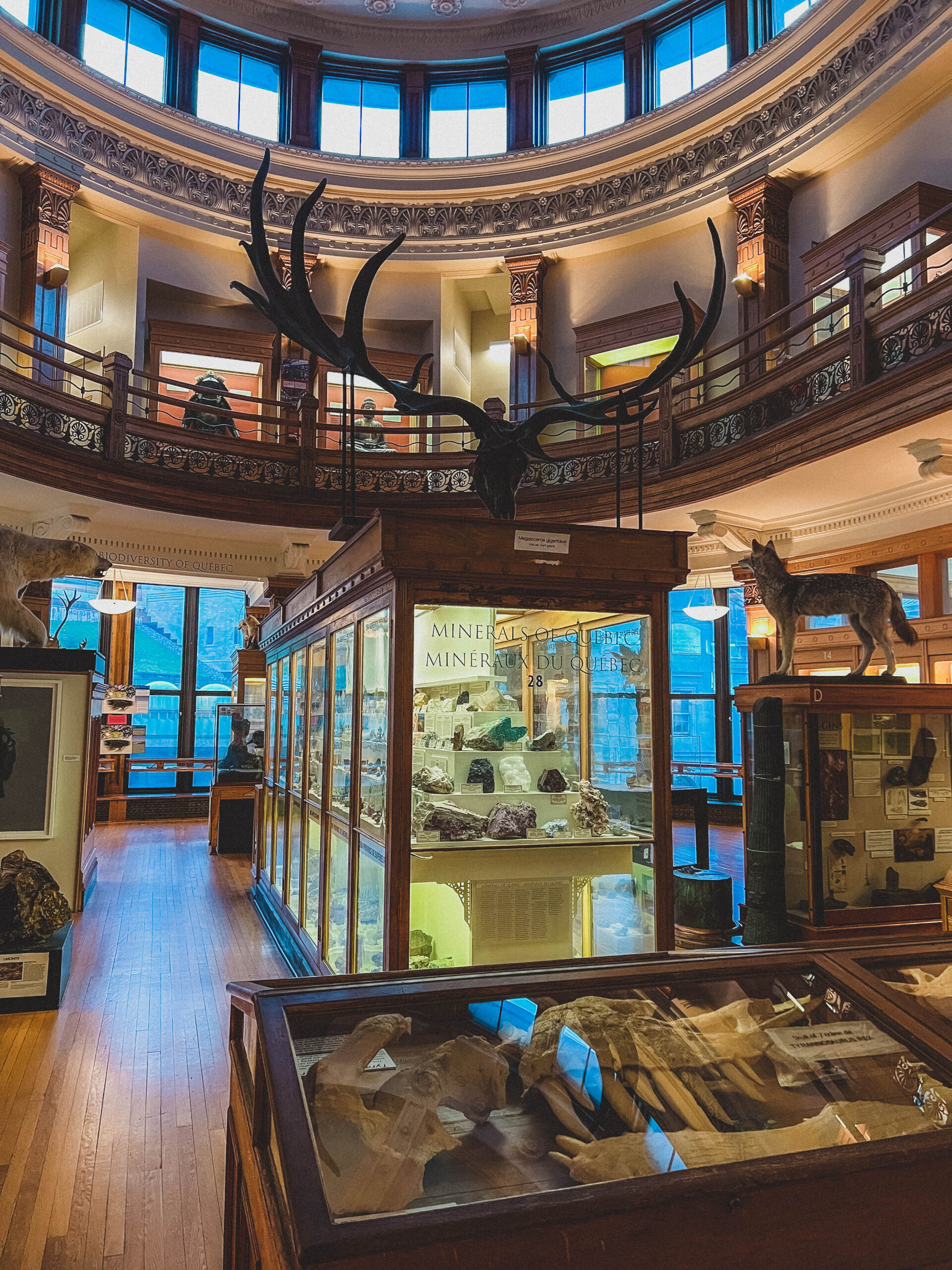 montreal redpath museum