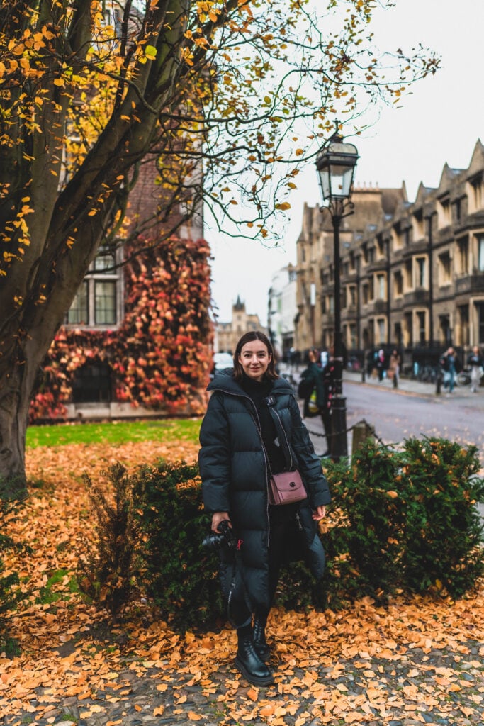 fall day in cambridge