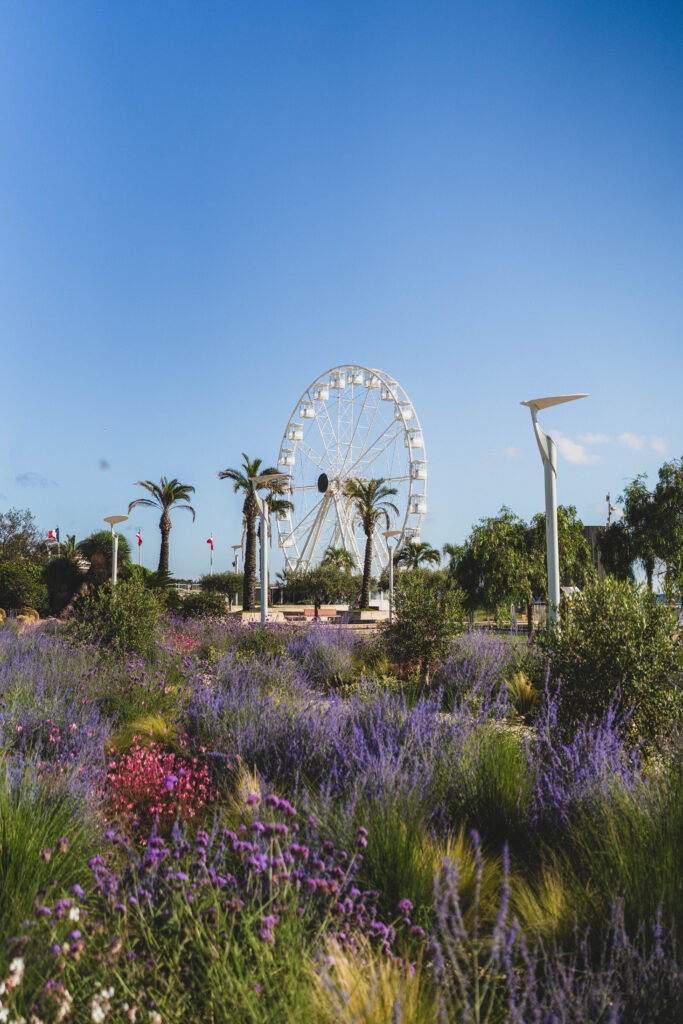 big wheel in saint raphael
