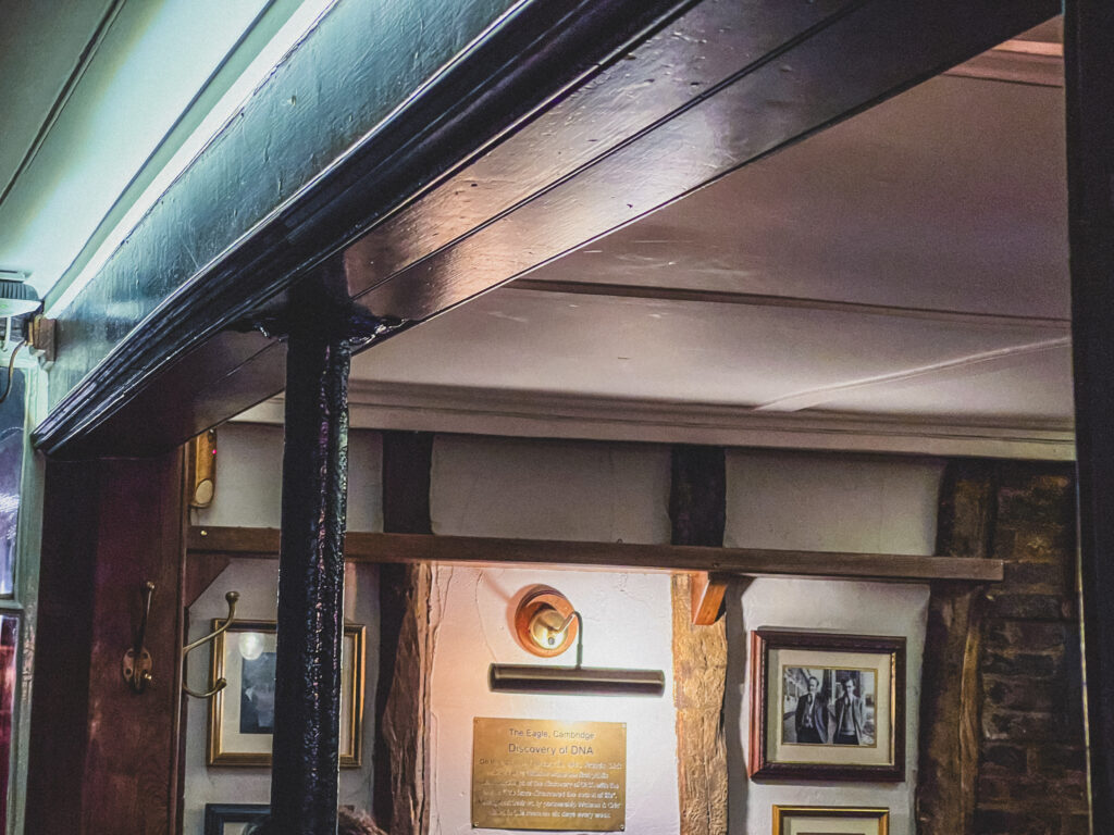 room inside the eagle