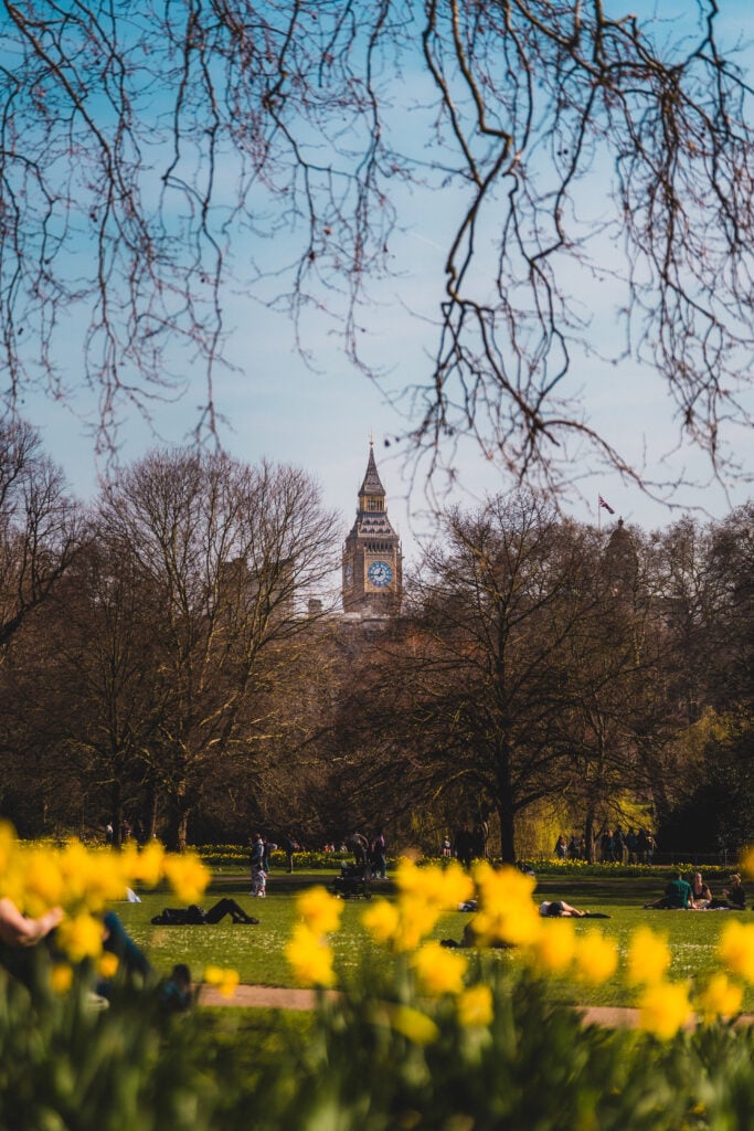 big ben and flowers