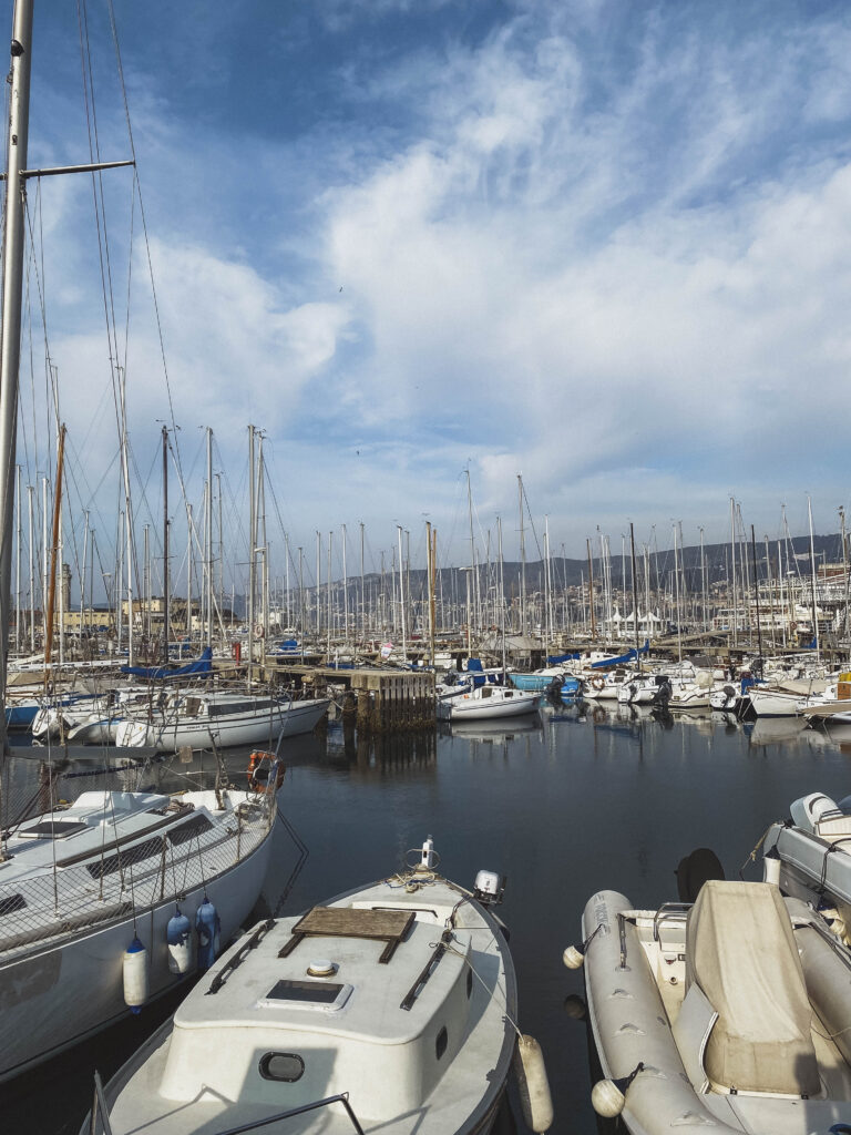 Trieste port area