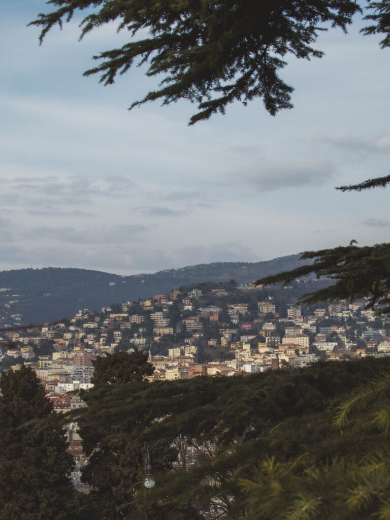 View of Trieste through the trees