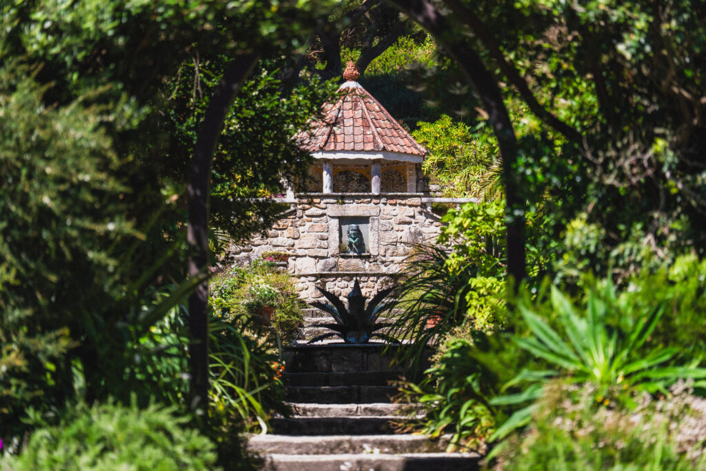 tropical plants tresco abbey gardens