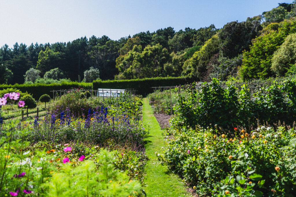 tresco gardens layout