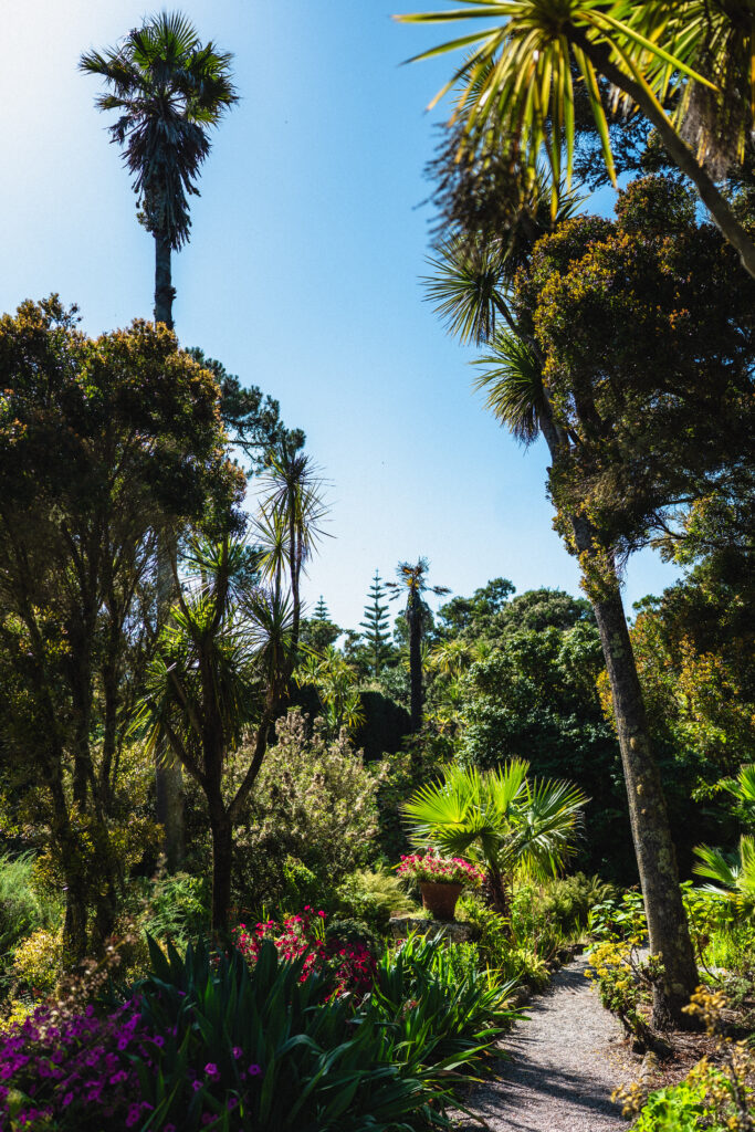 tresco gardens isles of scilly