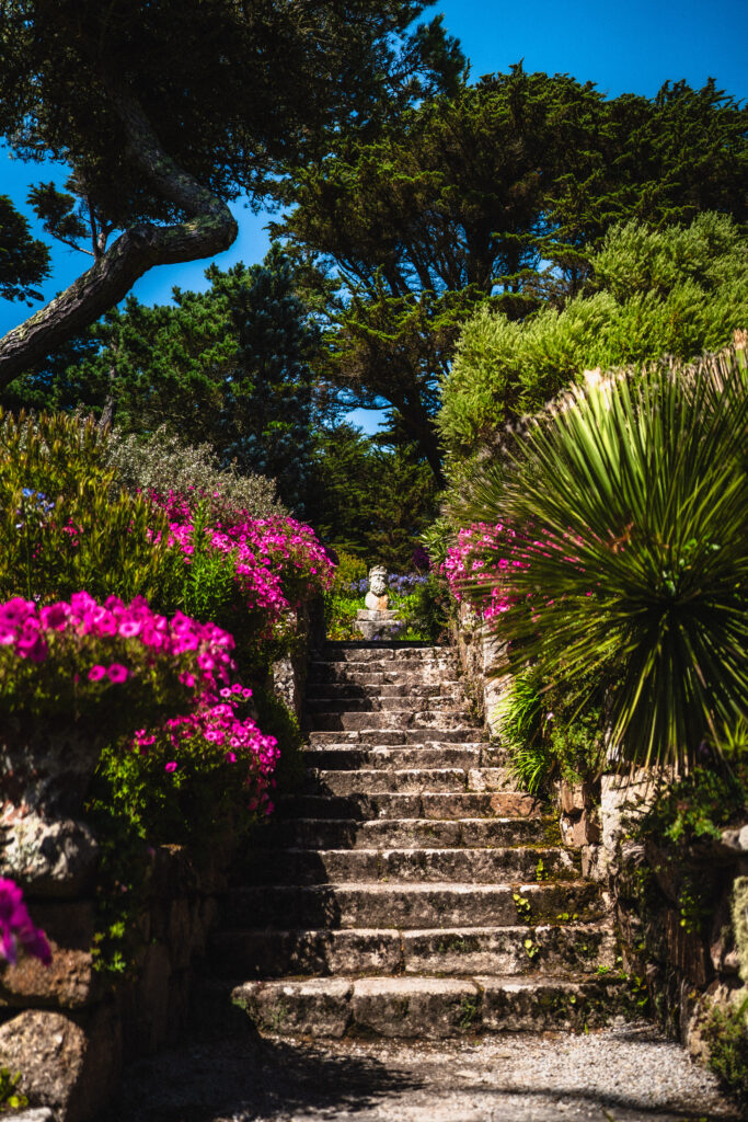 tresco gardens isles of scilly