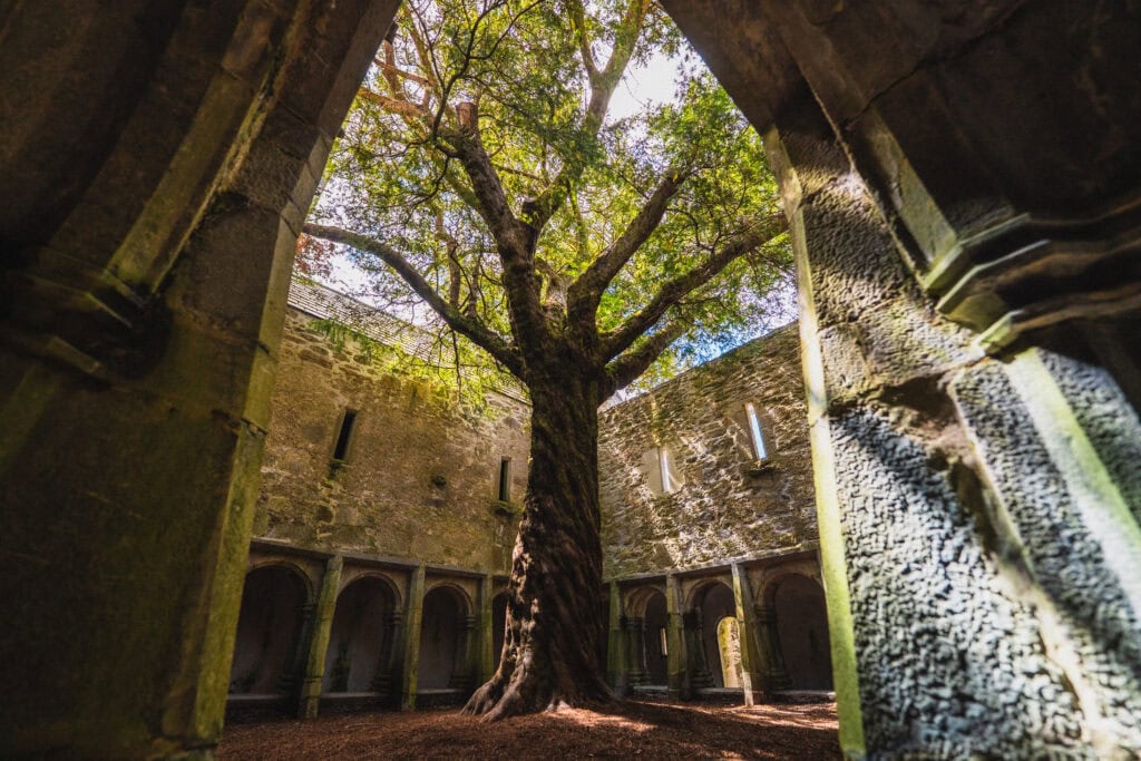 muckross abbey