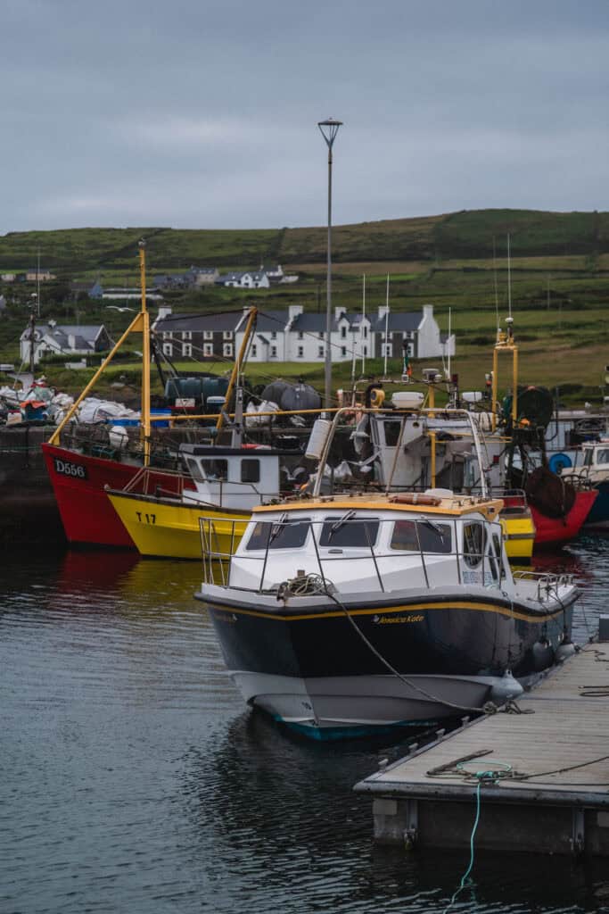 portmagee