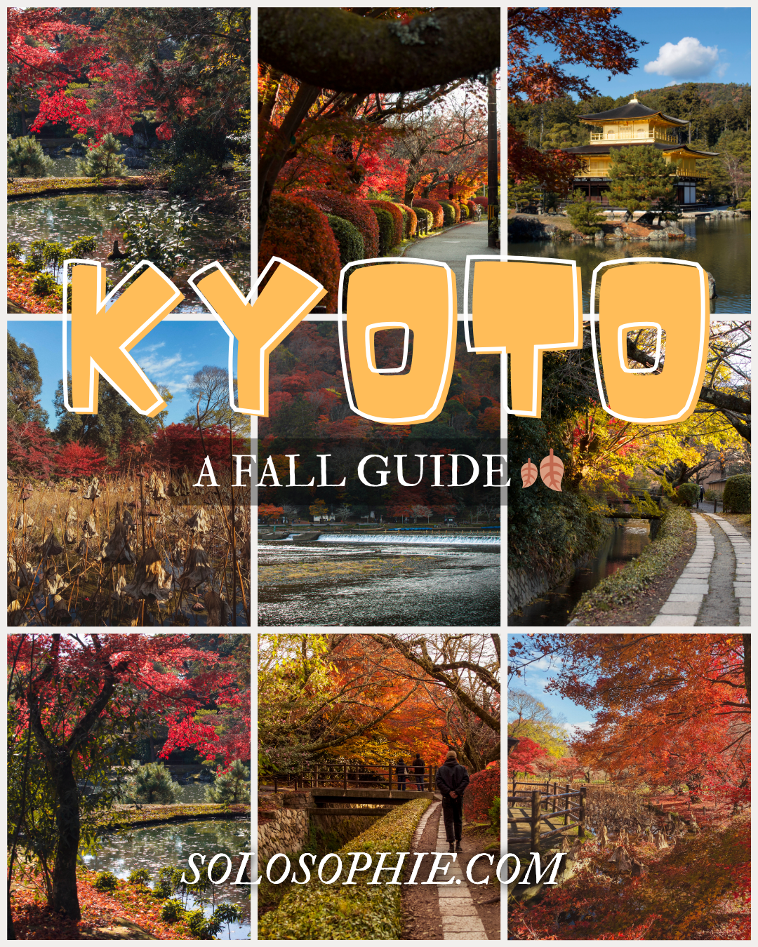 Kyoto Fall (2026) Travel Guide: Best Spots for Autumn Foliage | solosophie