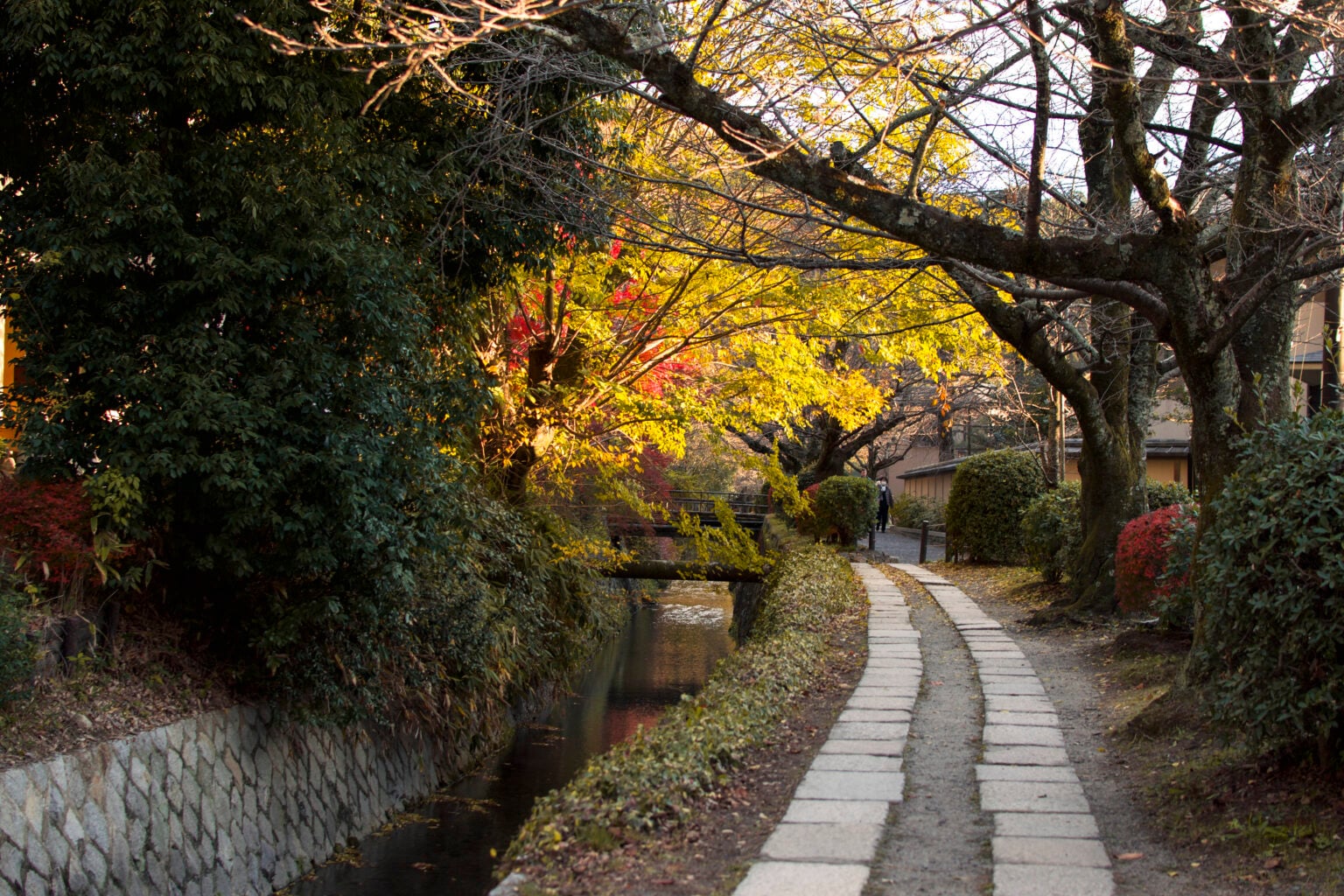 Kyoto Fall (2026) Travel Guide: Best Spots for Autumn Foliage | solosophie