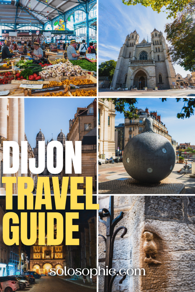 Dijon travel guide: one day in dijon