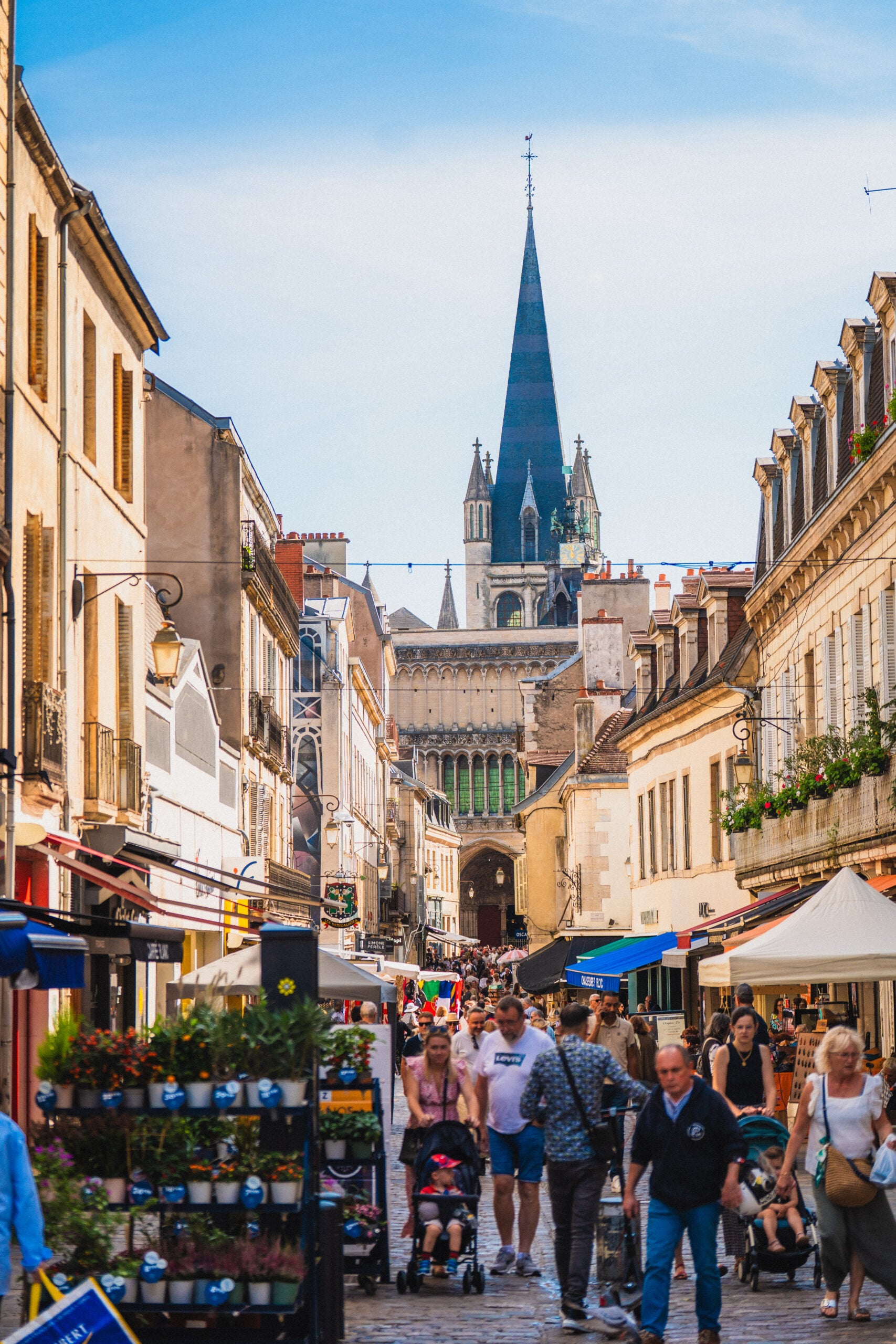 dijon sunny day