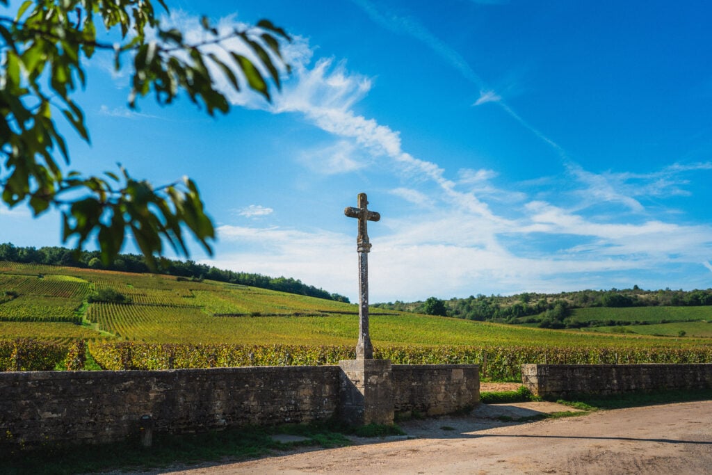 romanée conti vineyard