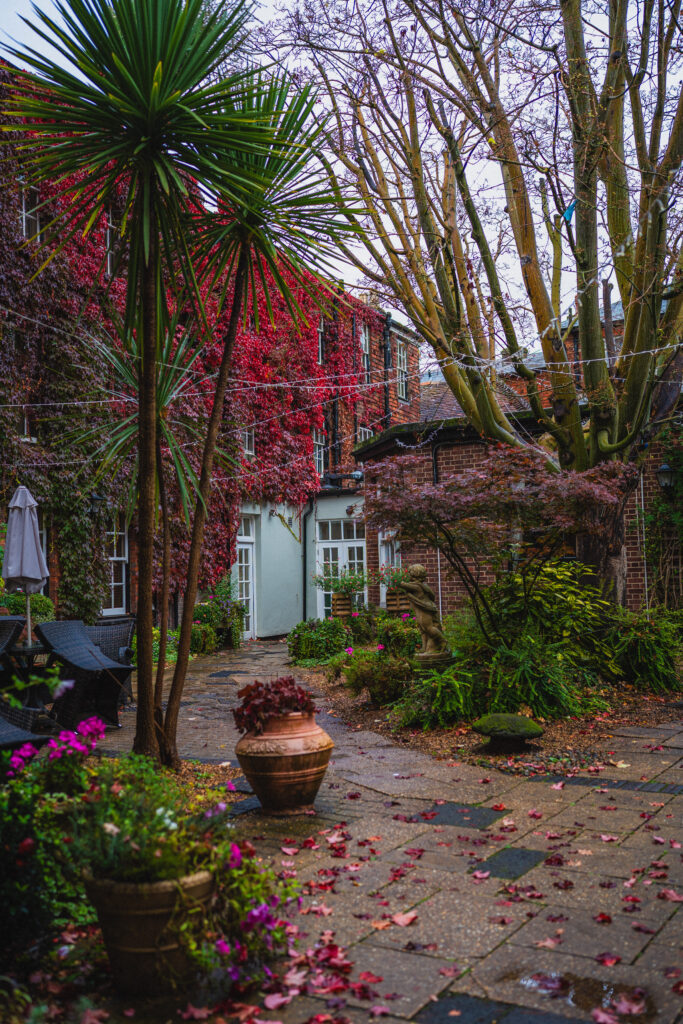 fall foliage in salisbury