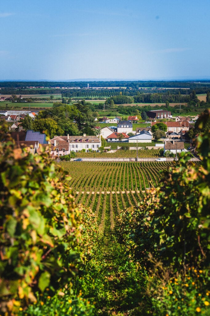 vosne romanee