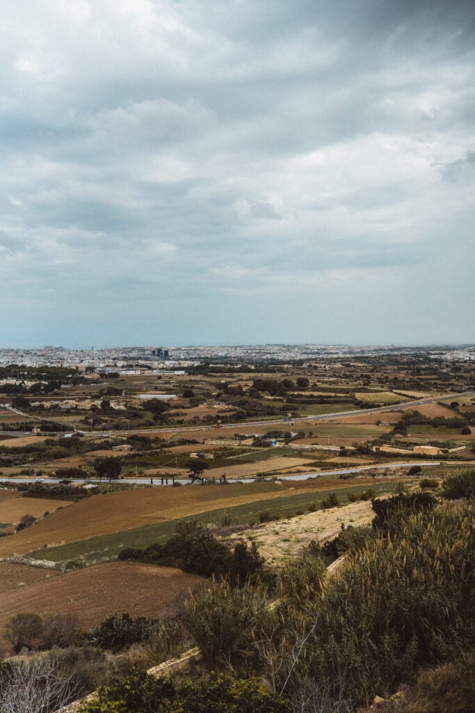 fontanella tea garden