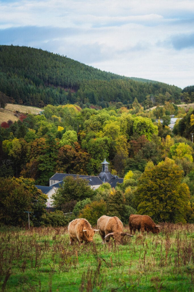 dufftown distilleries
