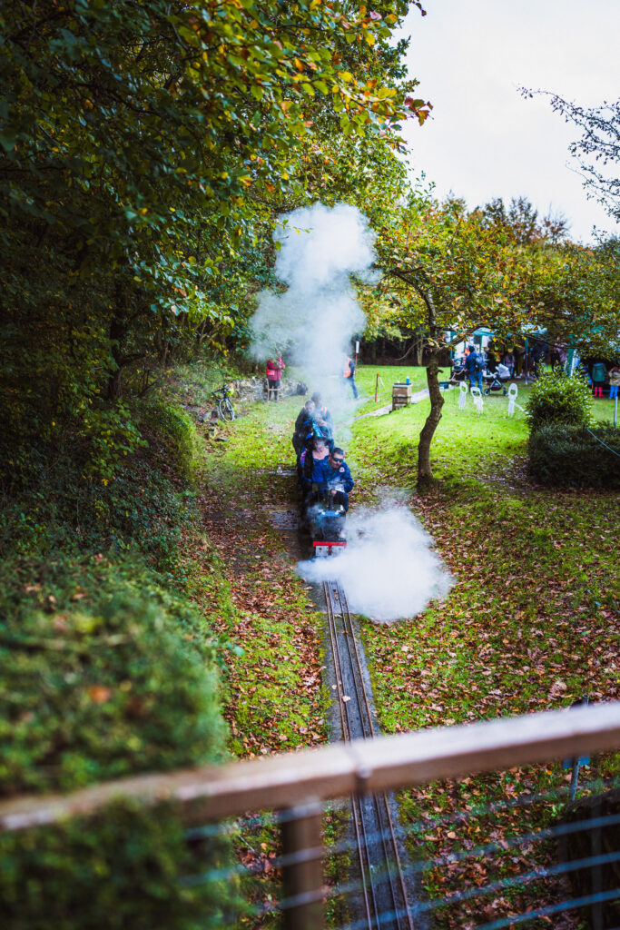 plymouth miniature steam