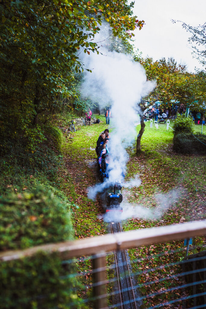 plymouth miniature steam