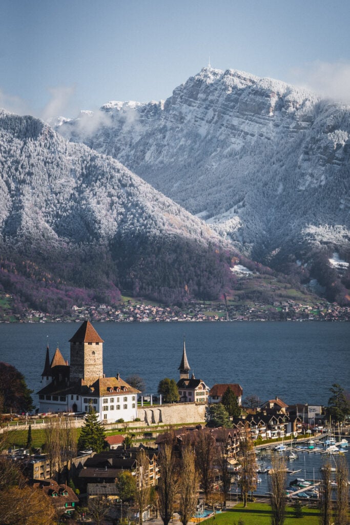spiez castle