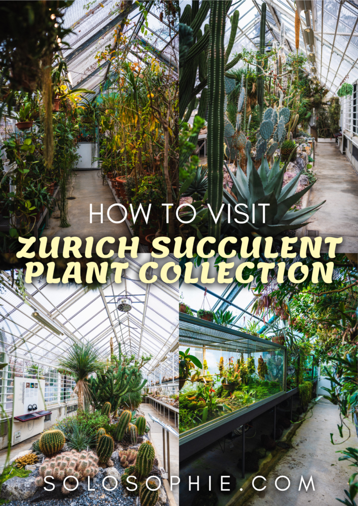 zurich succulent plant collection travel guide