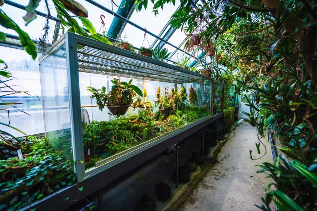 Zurich Succulent Plant Collection