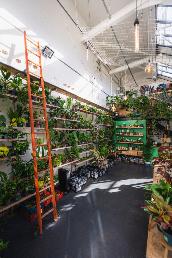 the watered garden nottingham