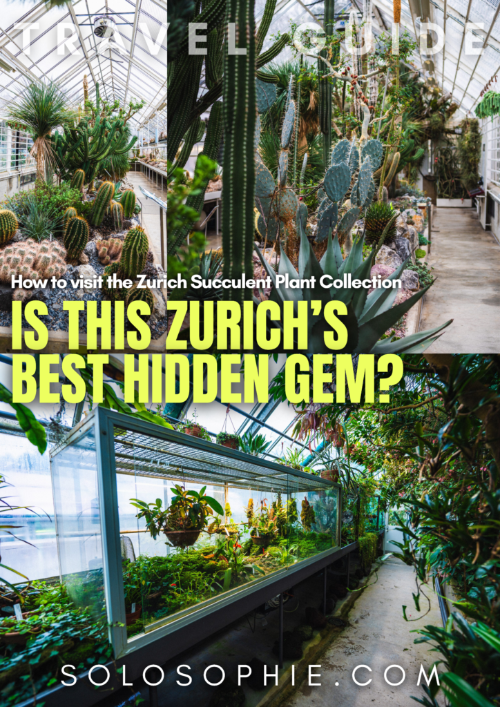 zurich succulent plant collection travel guide