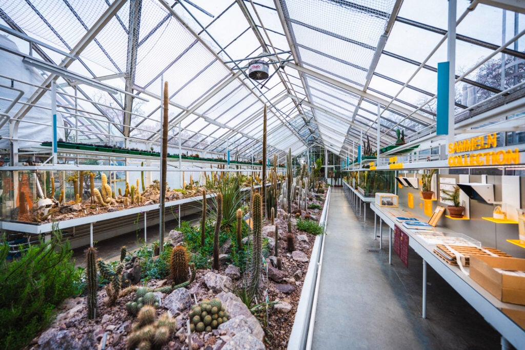 succulent garden zurich