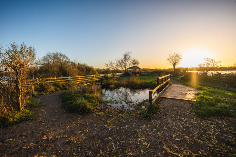 Attenborough Nature Centre at sunset