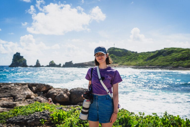 pointe des chateaux guadeloupe