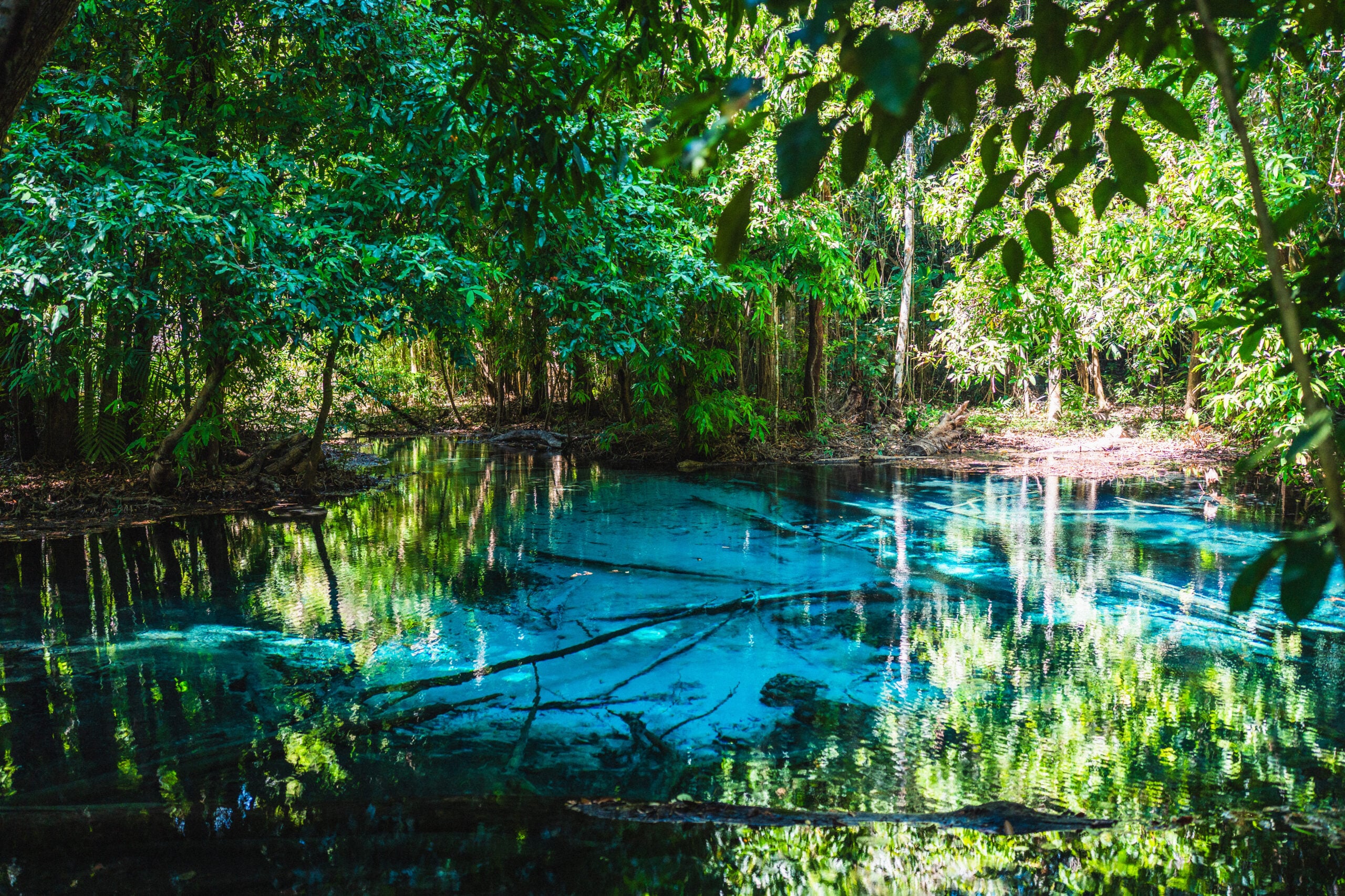How to Visit Emerald Pool Krabi: Complete Guide + Insider Tips