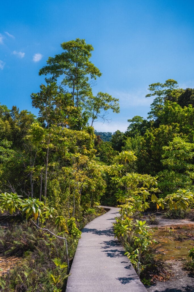 trail close to emerald pool