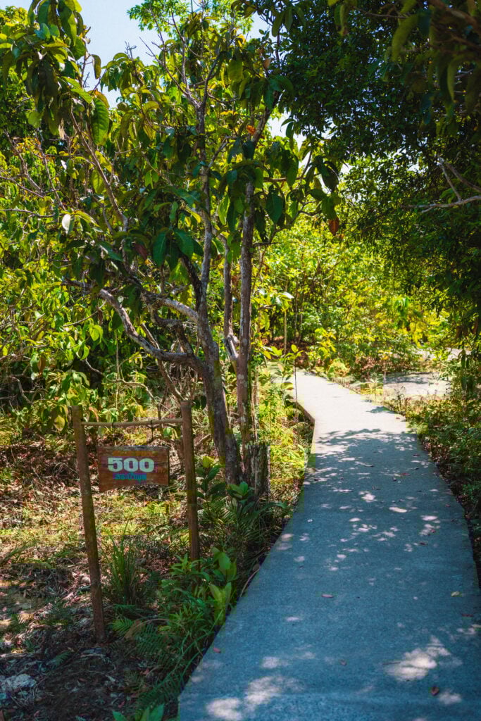 walking trail to blue pool thailand