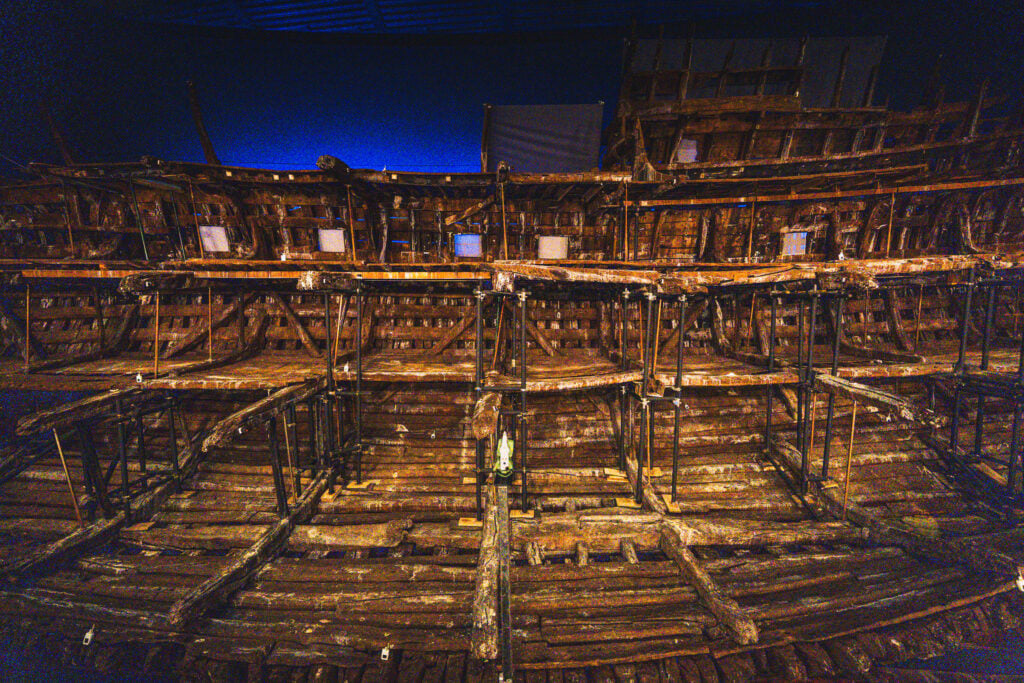 mary rose