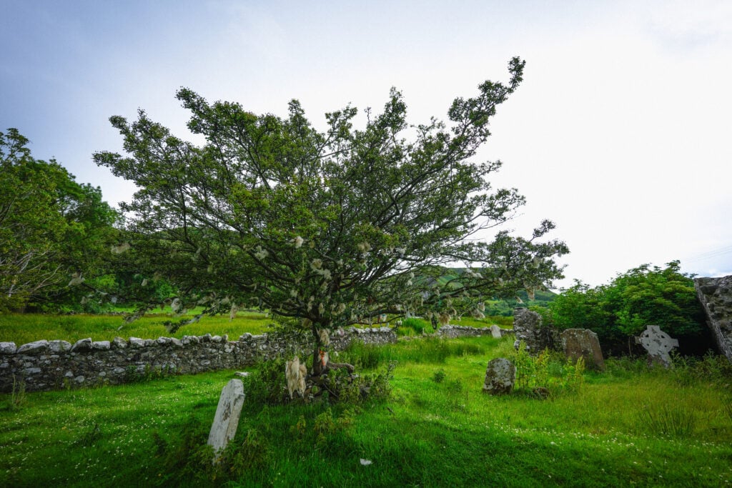 Ardclinis Church