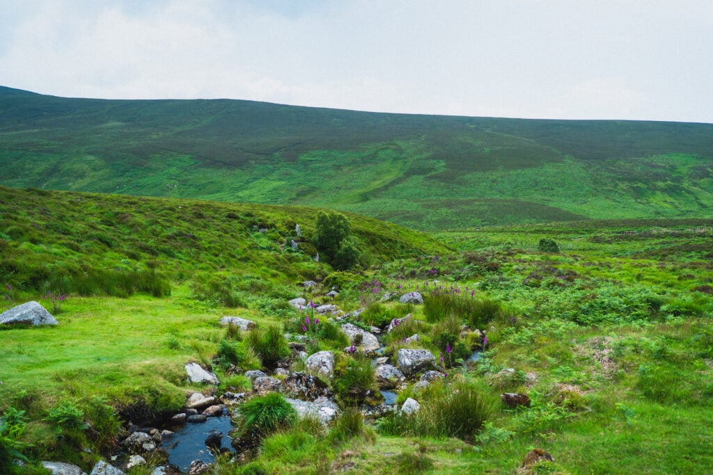 scenery wicklow mountains